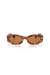 Miu Miu | MU 11WS Havana W/Dark Brown | Girls With Gems