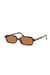 Miu Miu | MU 11ZS Honey Havana W/Brown | Girls With Gems